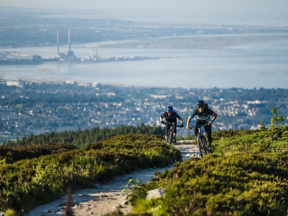 Biking.ie - Ticknock Mountain Bike Trail