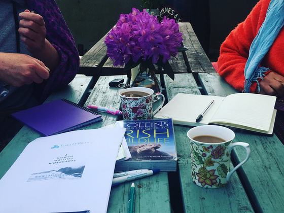 Howth Writing Workshops