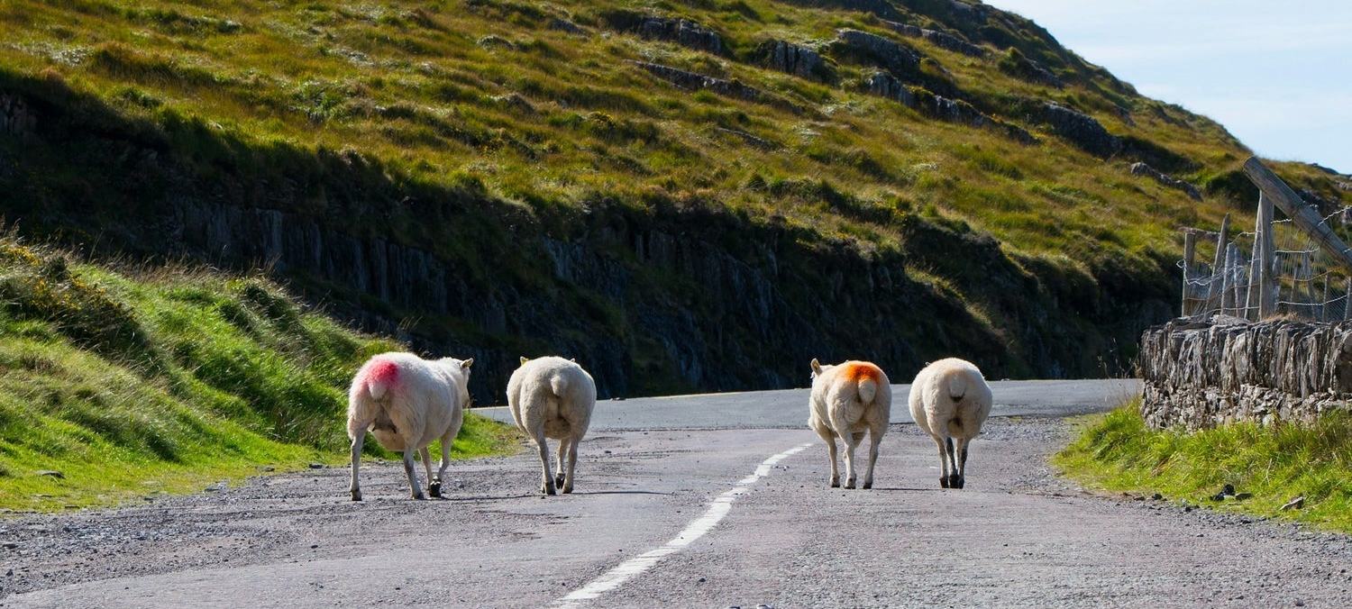 Celtic Self Drive Vacations