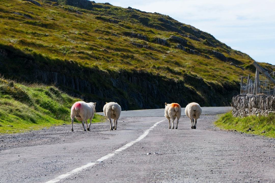 Celtic Self Drive Vacations
