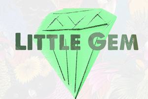 Little Gem Records