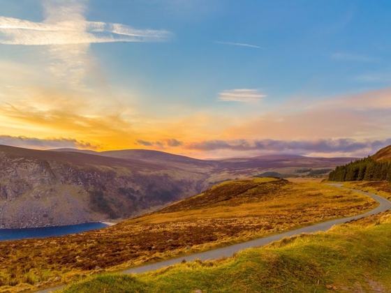 Wild Wicklow Tours