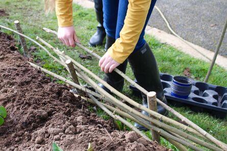 Creating gardens with children; a workshop for adults with David Begley