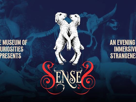 The Museum of Curiosities presents: Senses