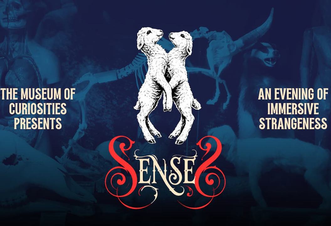 The Museum of Curiosities presents: Senses