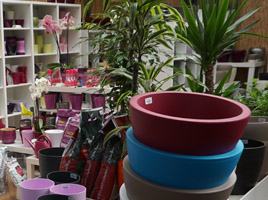 Urban Plant Life Garden Centre