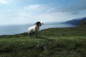 My Ireland Tour-7 Day Castles and Backroads Tour