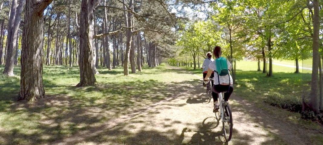 Phoenix Park Bikes