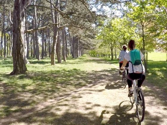 Phoenix Park Bikes