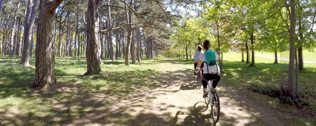Phoenix Park Bikes