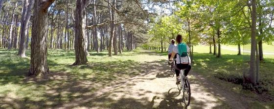Phoenix Park Bikes