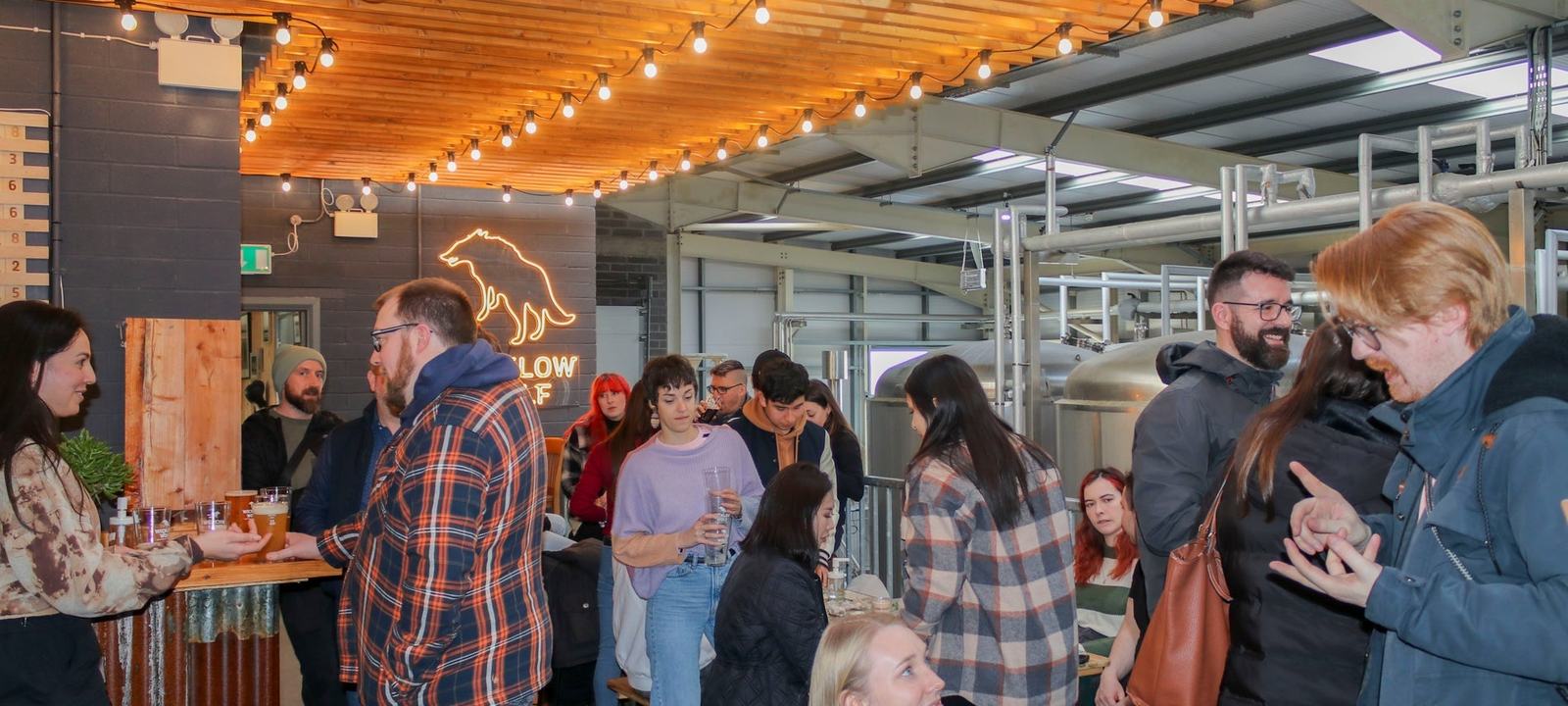 Wicklow Wolf Brewery & Taproom