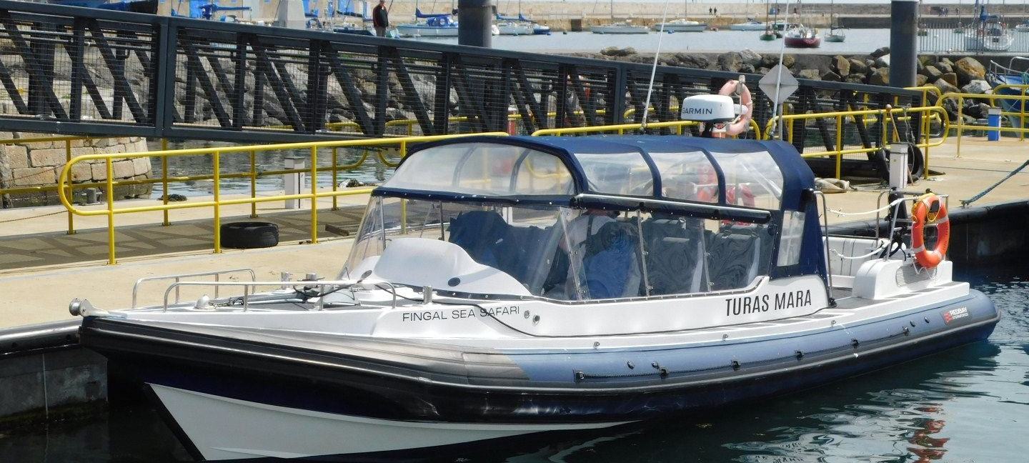 Fingal Sea Safari