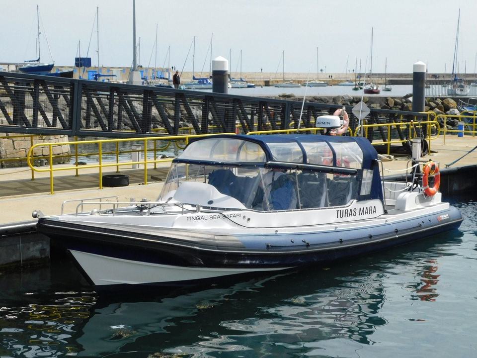 Fingal Sea Safari