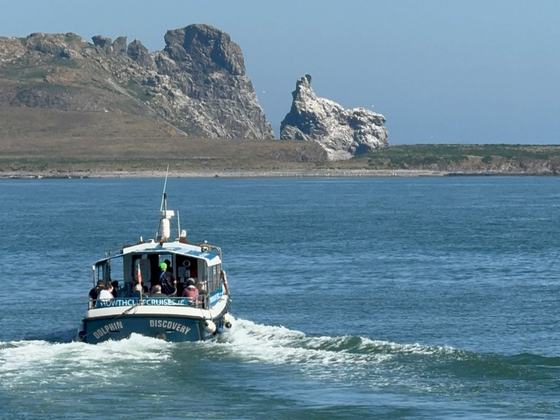 Howth Cliff Cruises