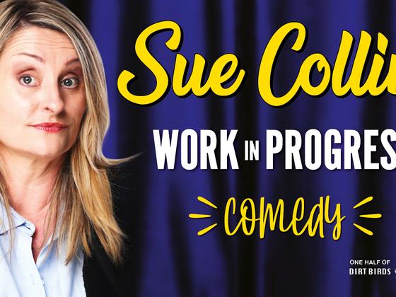 Sue Collins ‘Work in progress’