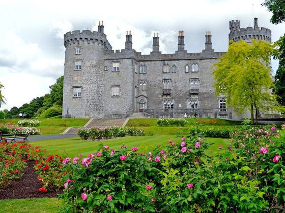 Killkenny, Wicklow and Glendalough Private Day Tour