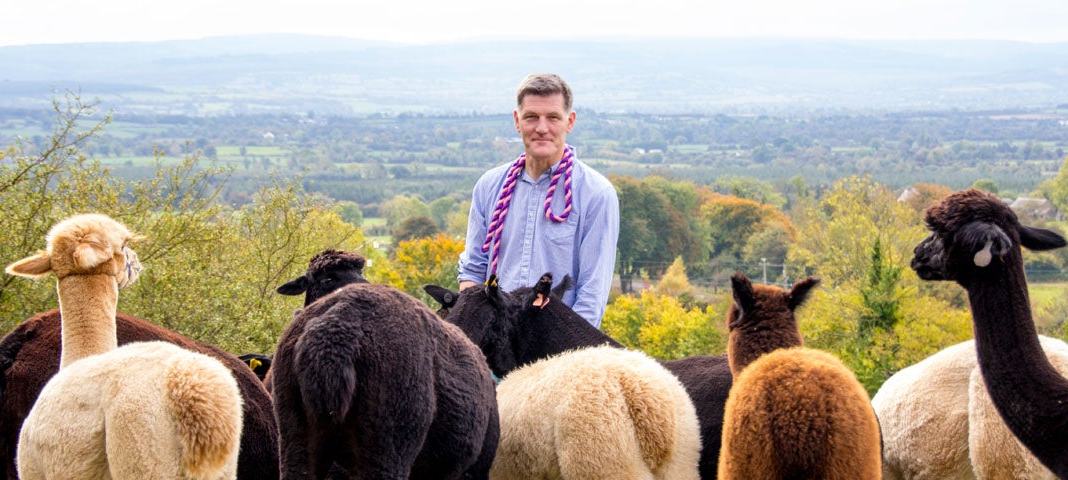 K2alpacas