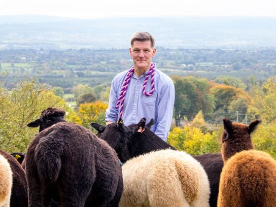 K2alpacas