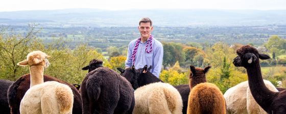 K2alpacas
