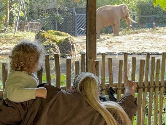 Stargazing at Dublin Zoo