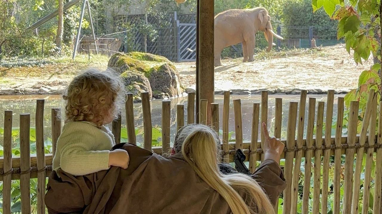 Stargazing at Dublin Zoo