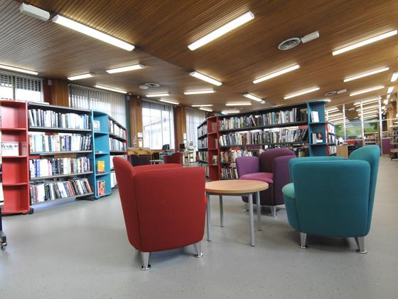 Dolphin's Barn Library