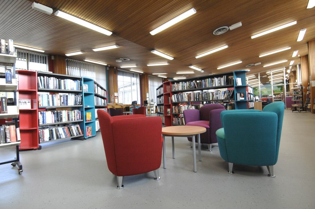 Dolphin's Barn Library
