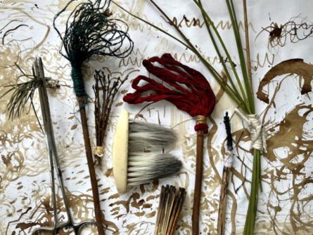 Joanna Kidney: Experimental Drawing from Nature & Senses