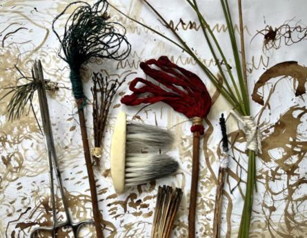 Joanna Kidney: Experimental Drawing from Nature & Senses