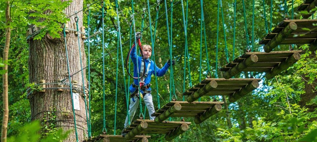 Zipit Tibradden Wood