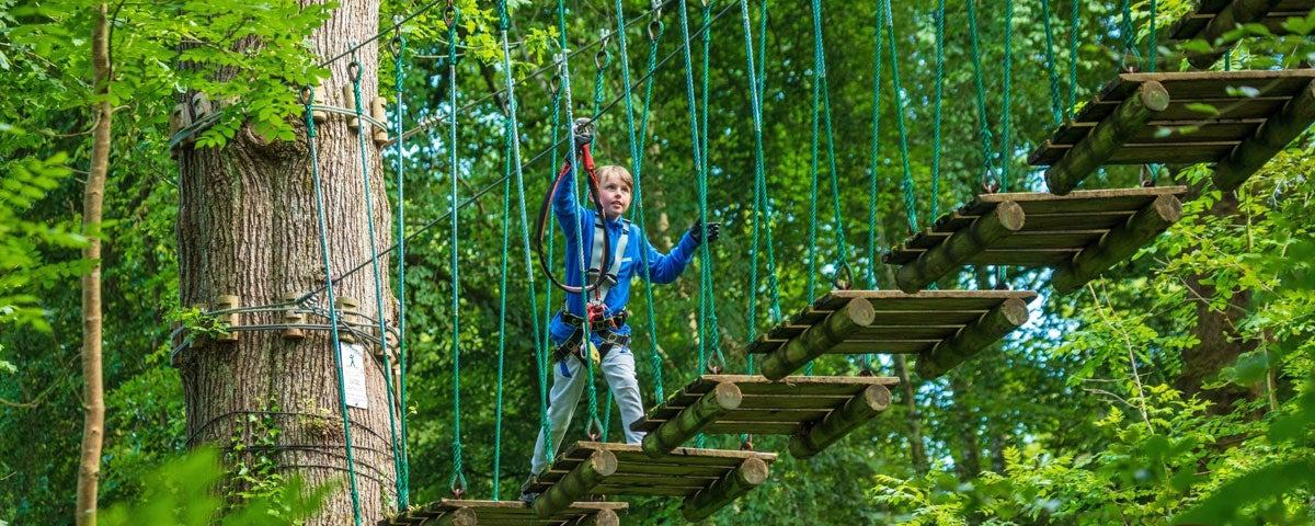 Zipit Tibradden Wood