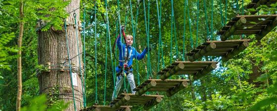 Zipit Tibradden Wood