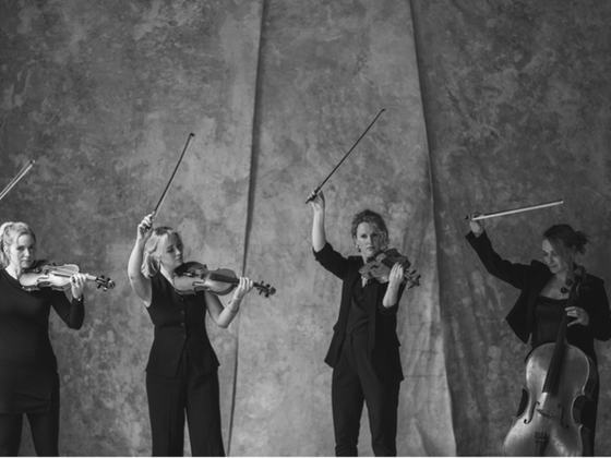 Leinster String Quartet: Movie Classics, Irish Favourites & Timeless Hits