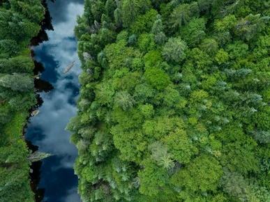 Film: Our Blue World (Cert: G) + Post Film Q&A