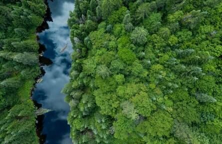 Film: Our Blue World (Cert: G) + Post Film Q&A