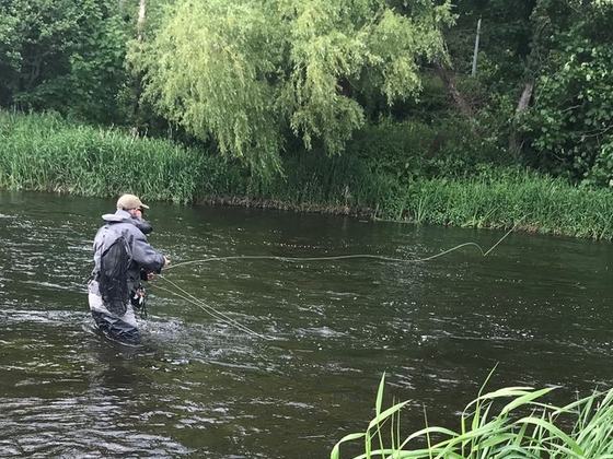 Go Fishing Ireland