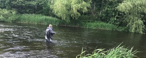 Go Fishing Ireland