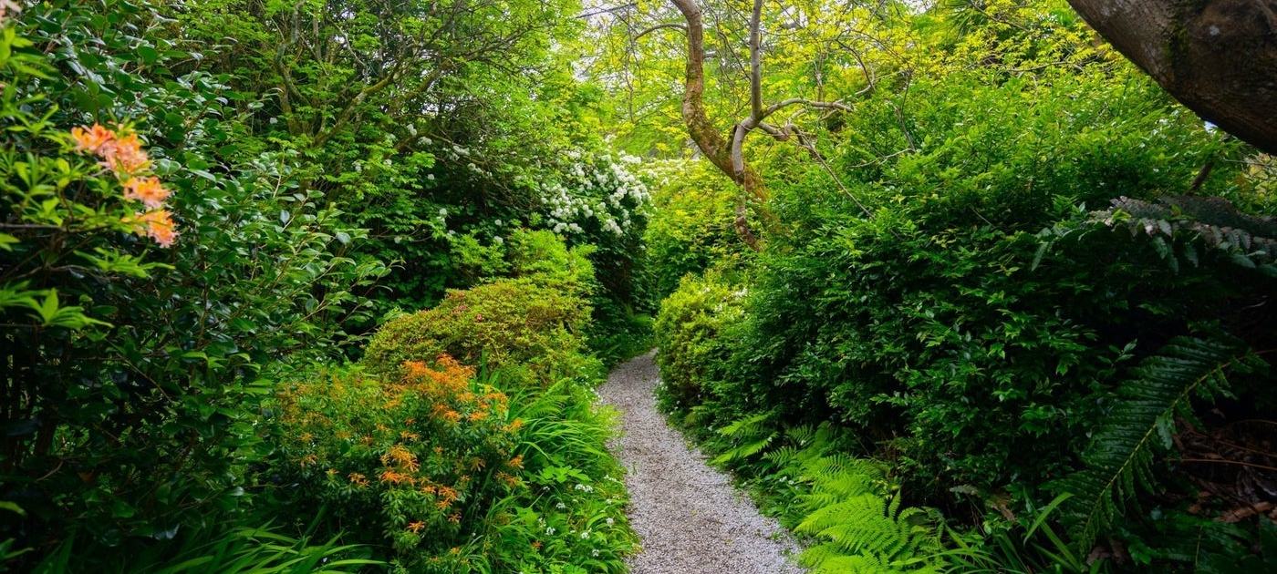 Mount Usher Gardens