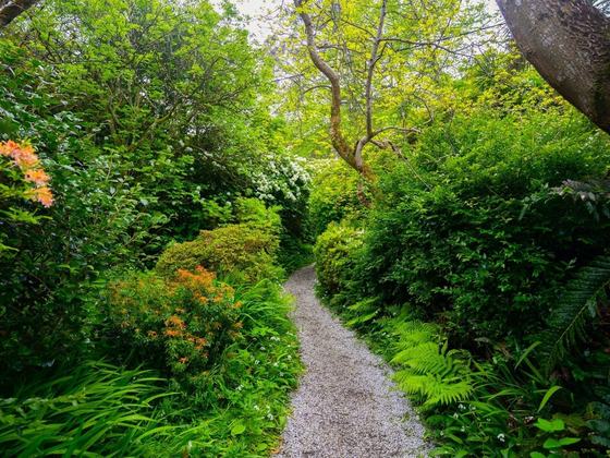 Mount Usher Gardens