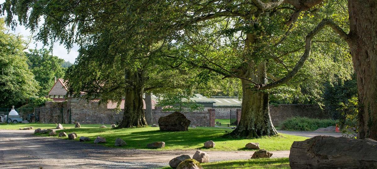 Belmont Demesne