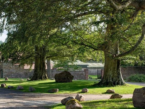 Belmont Demesne