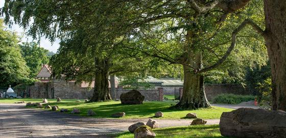Belmont Demesne
