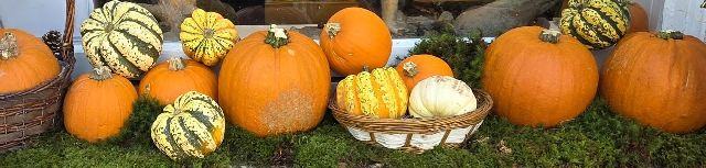 Pumpkin painting competition