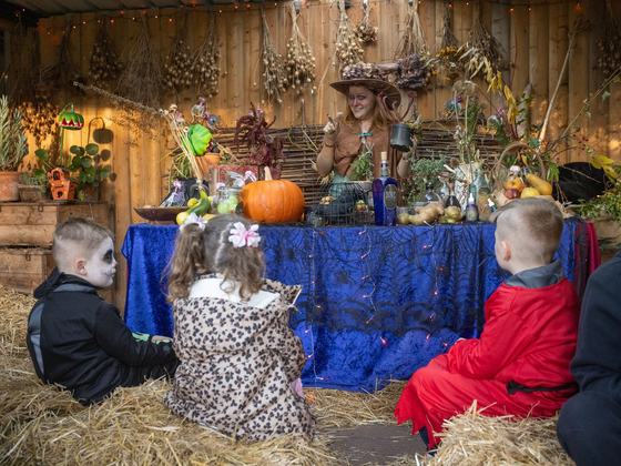 October Themed Tour: Samhain Embers