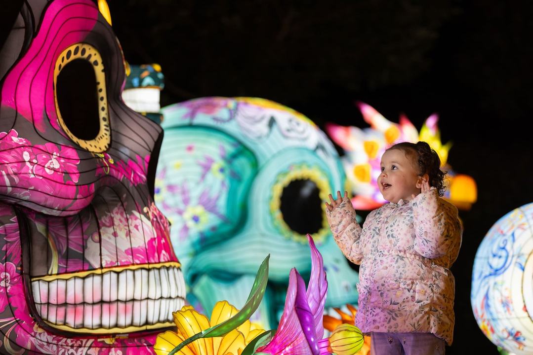 Wild Lights 2026: Passport to Wonder