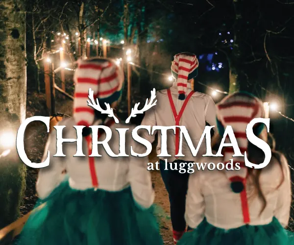 Santa's Enchanted Forest Christmas Experience