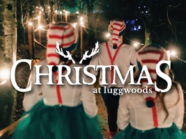 Santa's Enchanted Forest Christmas Experience 2023