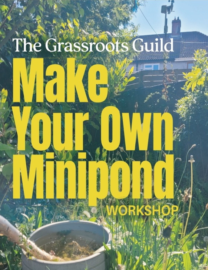 Make Your Own Minipond Workshop