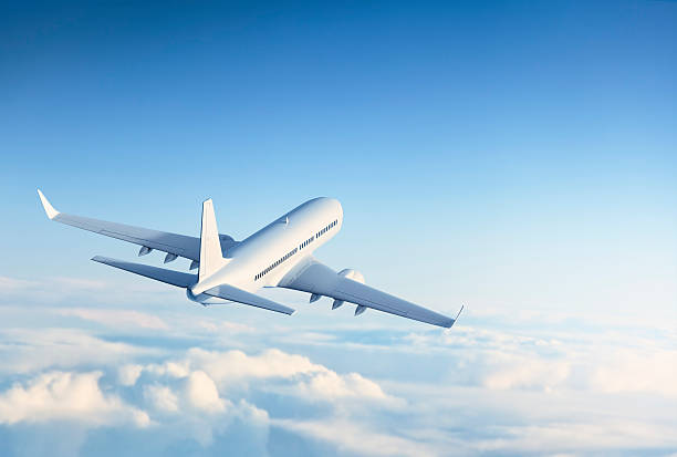 Full List of Official American Airlines Customer Contact Numbers in USA:Latest Guide